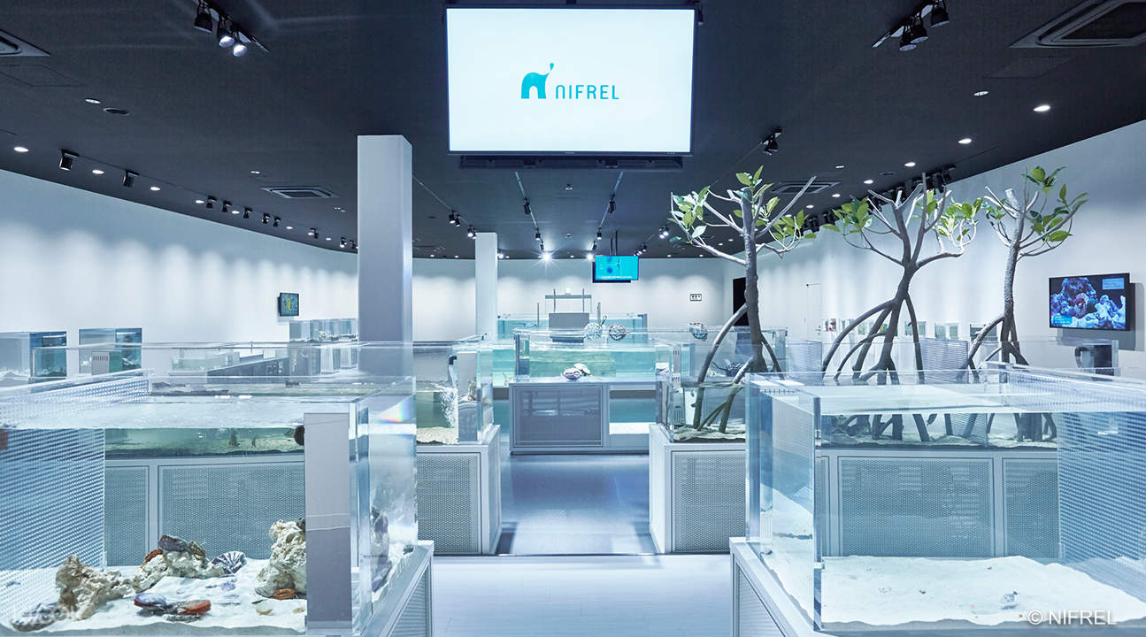 NIFREL Interactive Aquazoo ETicket and Nankai Line Airport Express